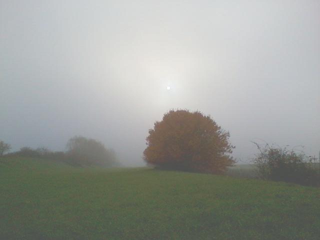 Herbstnebel.jpg