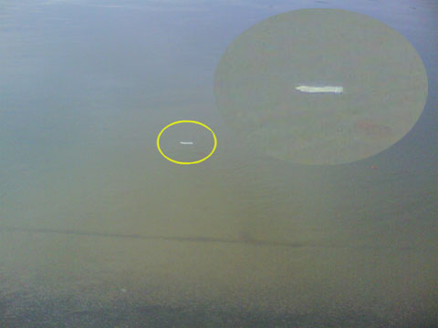 DSC01182-1.jpg
