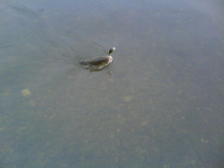 DSC00854.jpg
