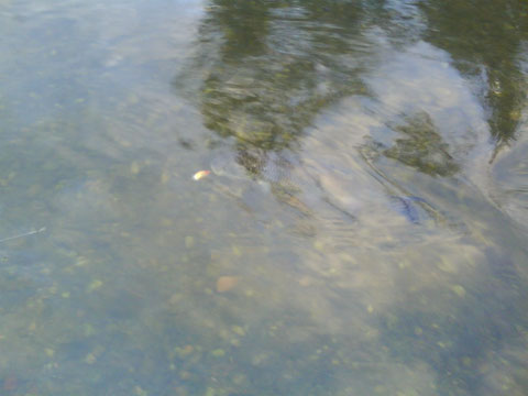 DSC00028.jpg